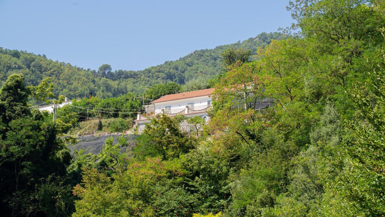 Tra Sole E Limoni Apartments Tramonti Bagian luar foto